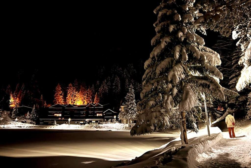 Superbe Appartement Champex-Lac Avec Piscine Et Sauna Bagian luar foto